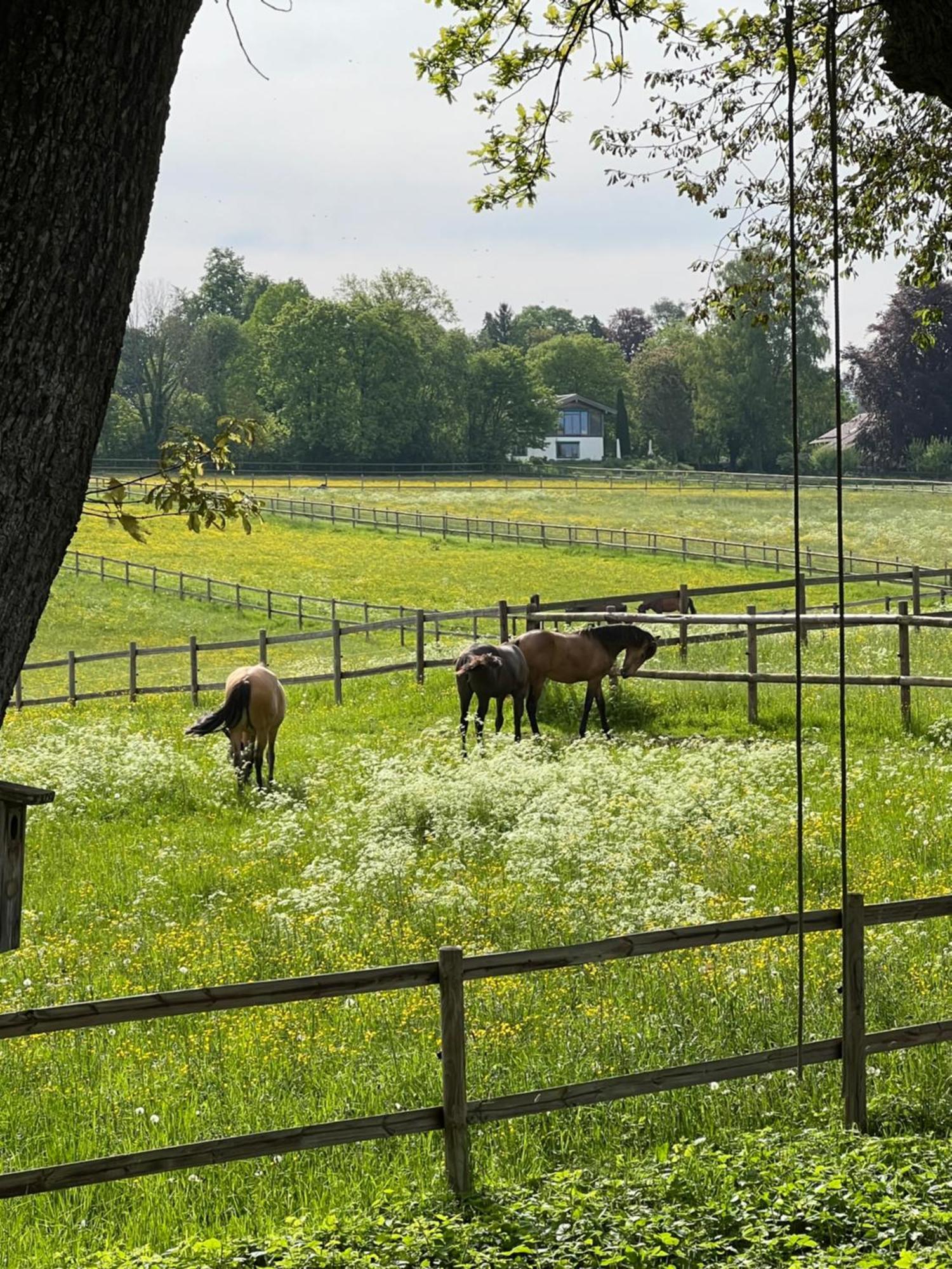 Herrenhaus - Starnberger See - Ammerland Münsing Εξωτερικό φωτογραφία