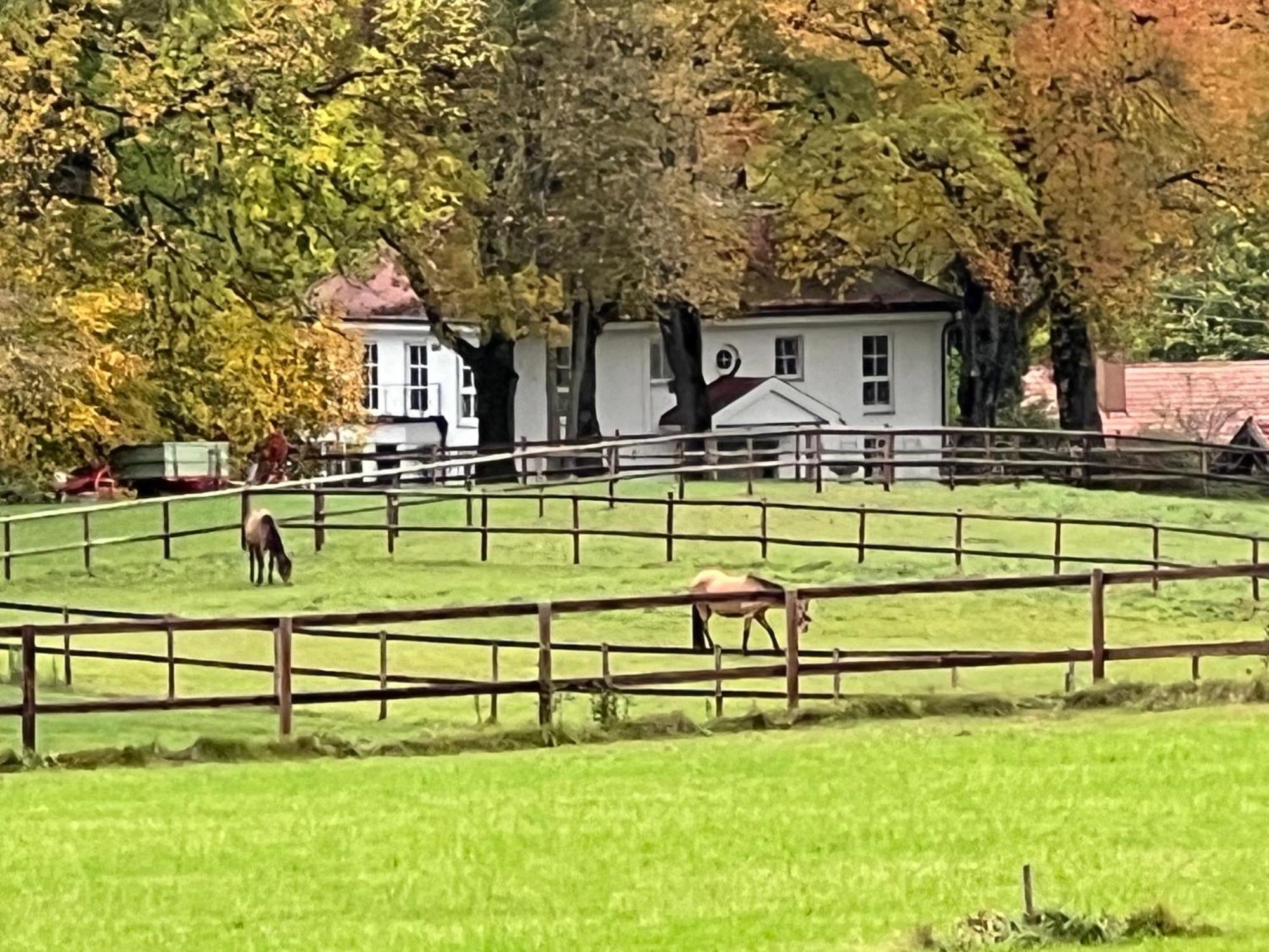 Herrenhaus - Starnberger See - Ammerland Münsing Εξωτερικό φωτογραφία